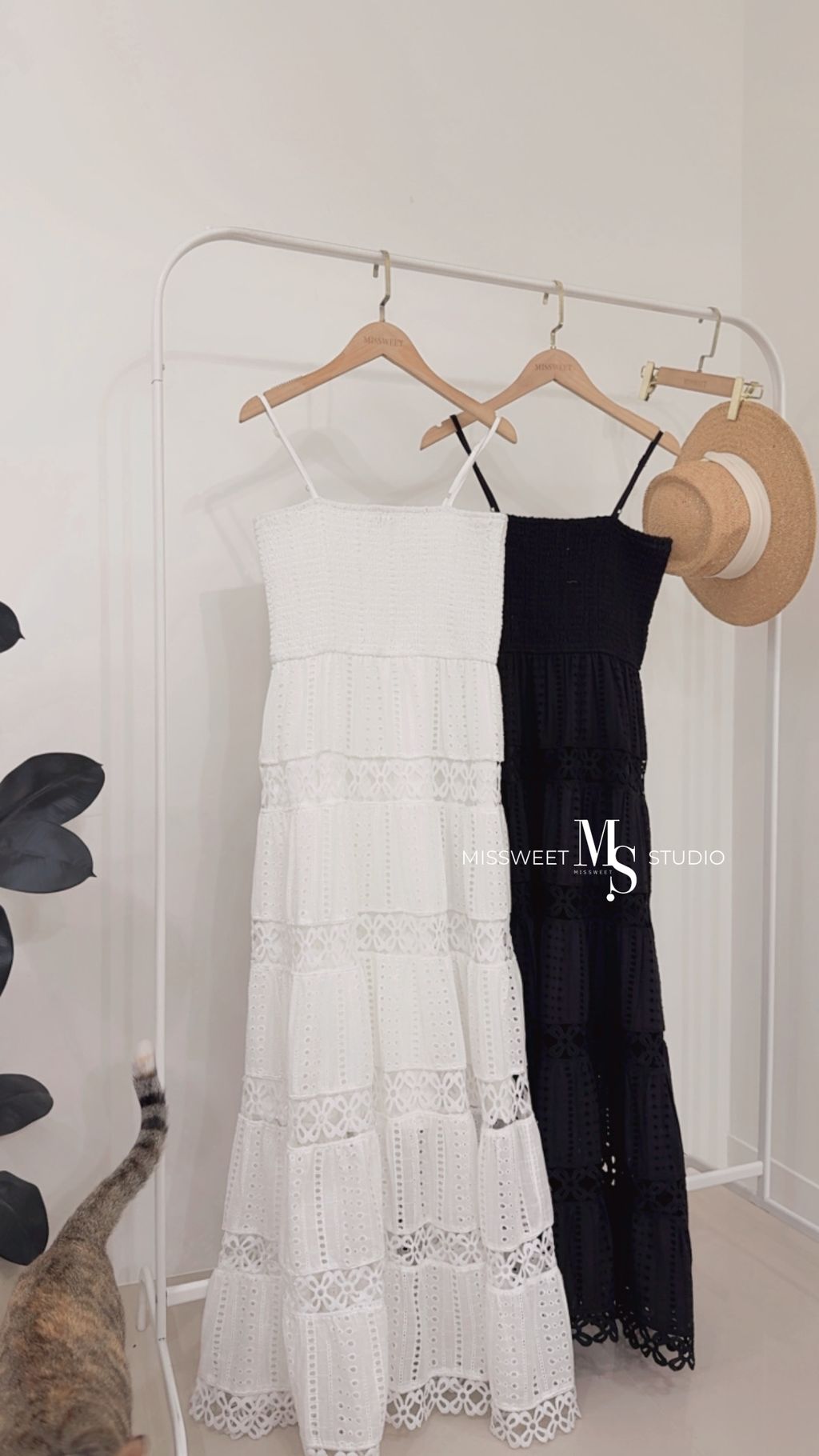 相片 2026-3-15 下午6 38 32