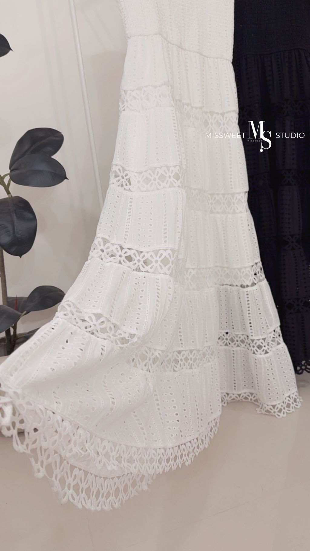 相片 2026-3-15 下午6 41 07