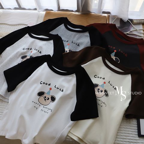 O1CN016cyIdQ2ClTE006AE6_!!1721778514-0-cib