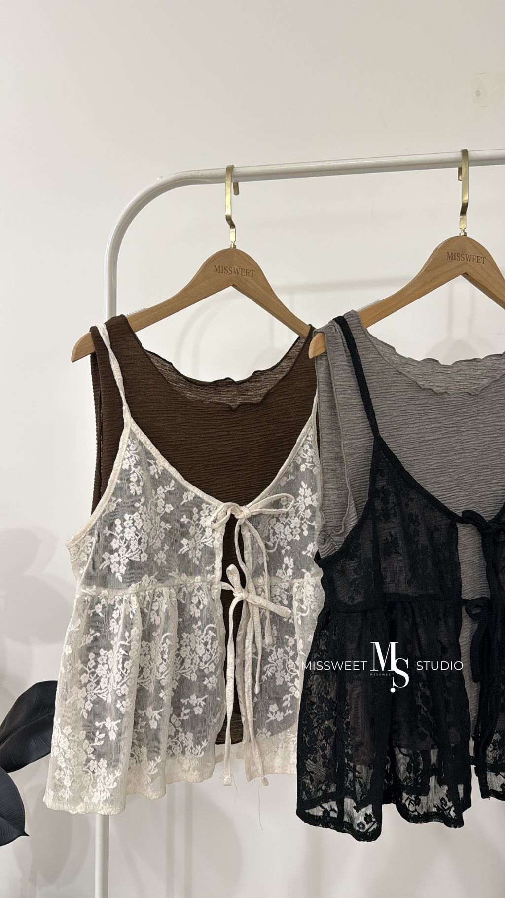 相片 2026-3-15 下午6 43 54