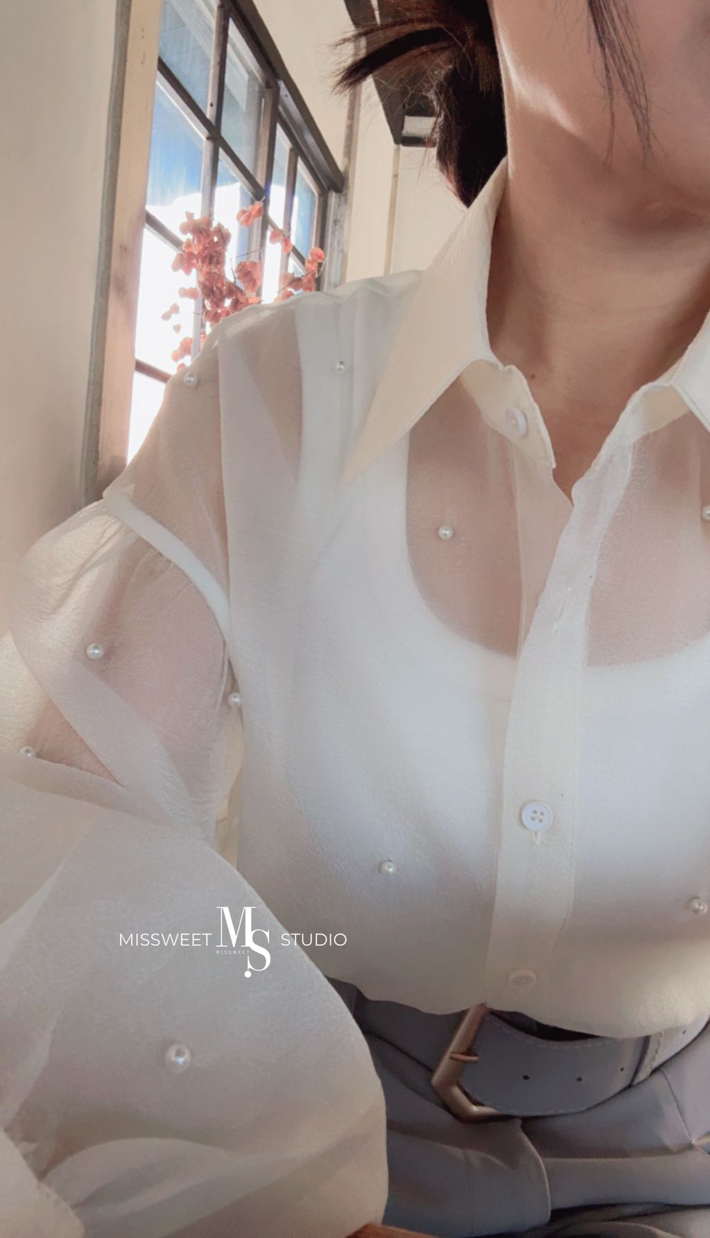 相片 2026-3-18 下午3 05 45