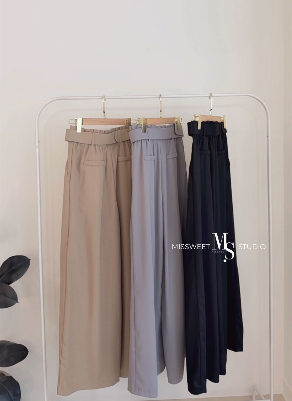 相片 2026-3-18 下午2 29 09