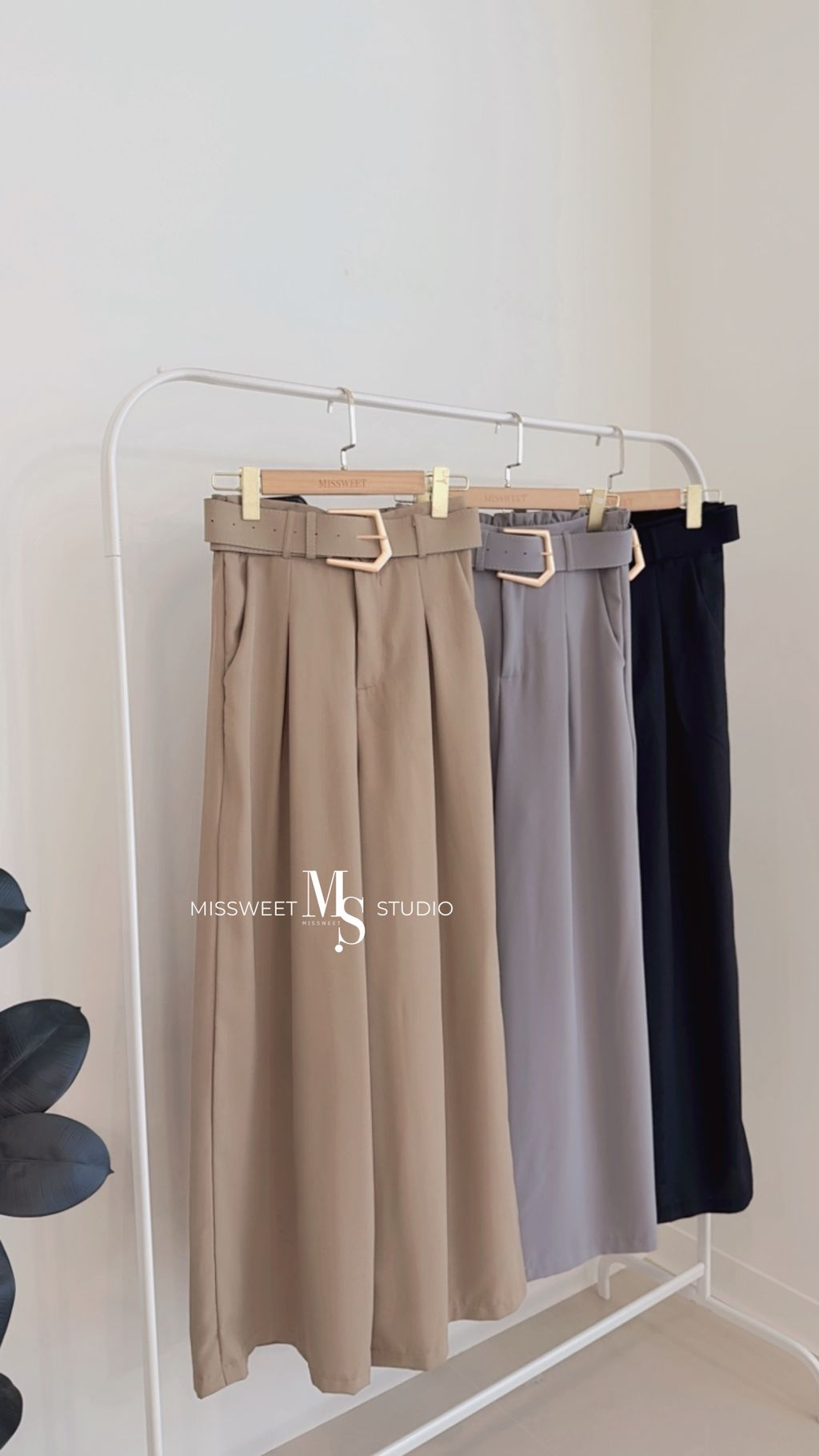 相片 2026-3-18 下午2 21 05