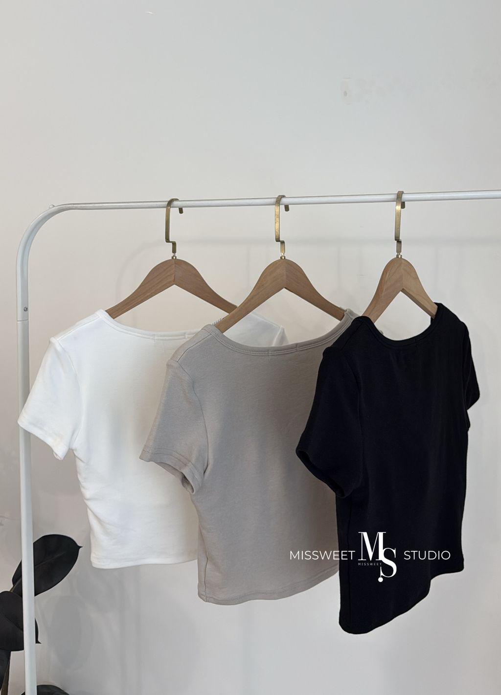 相片 2026-3-13 下午3 46 55