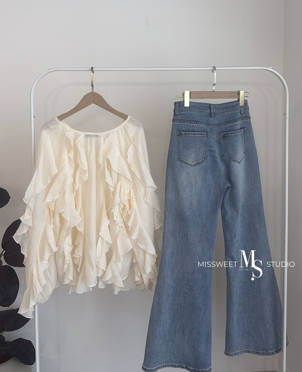 相片 2026-3-23 下午2 17 59