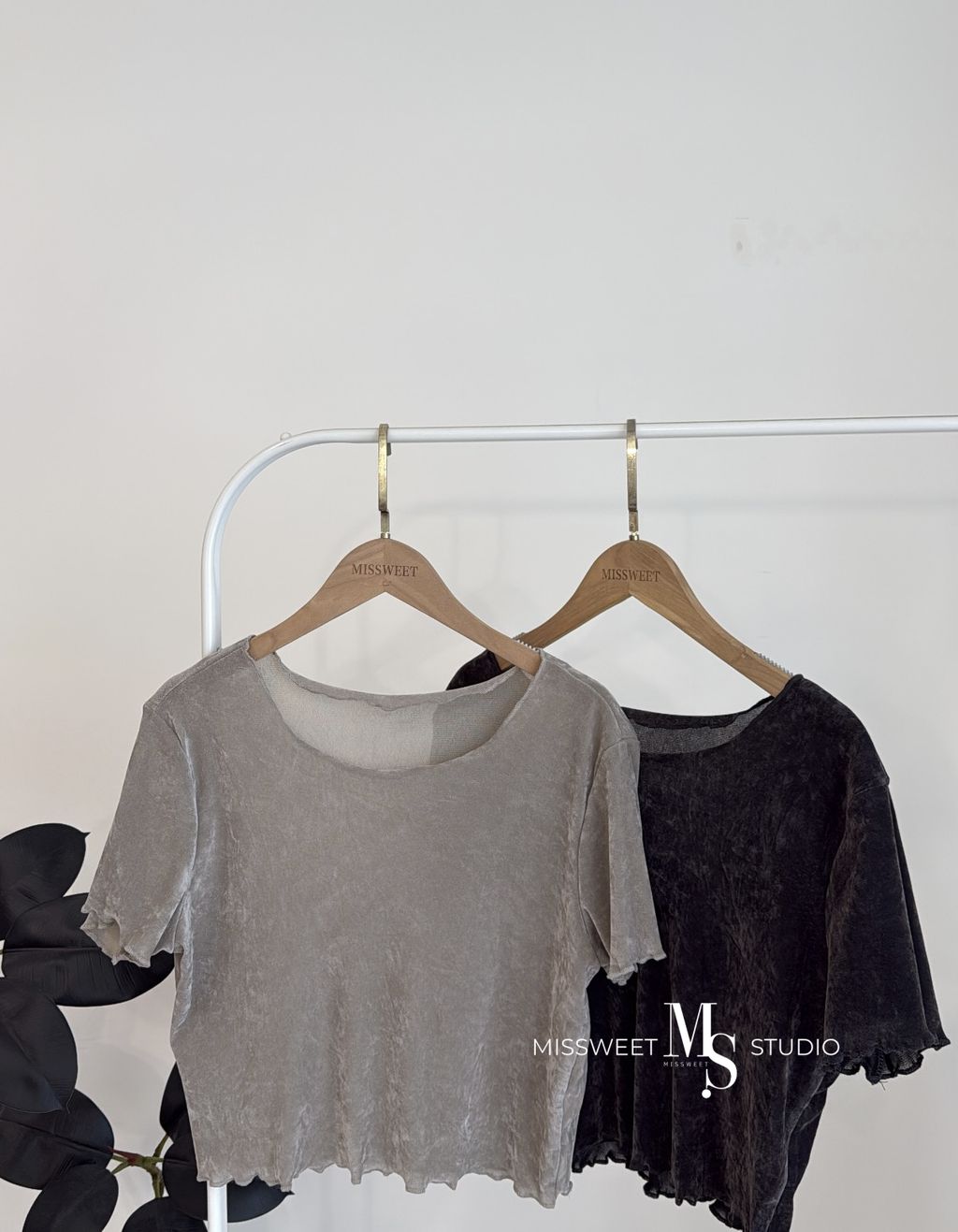 相片 2026-3-23 下午2 37 59