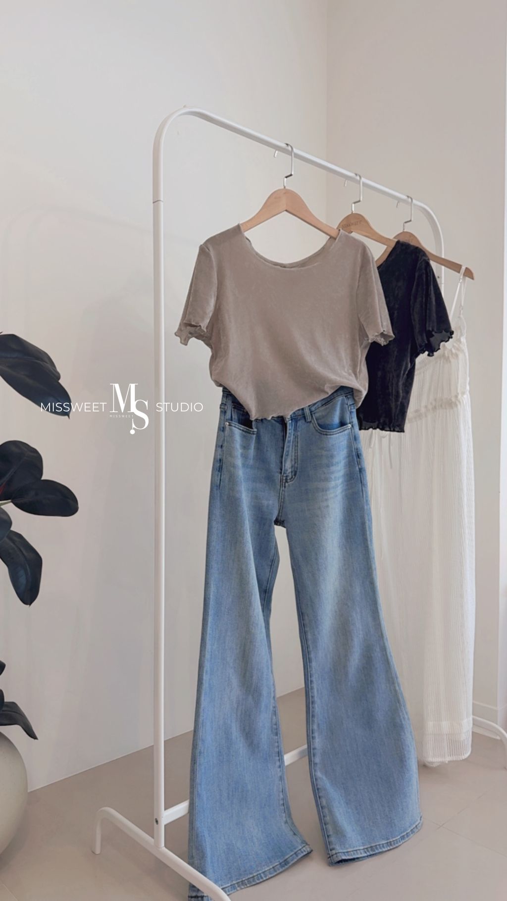 相片 2026-3-23 下午2 34 14