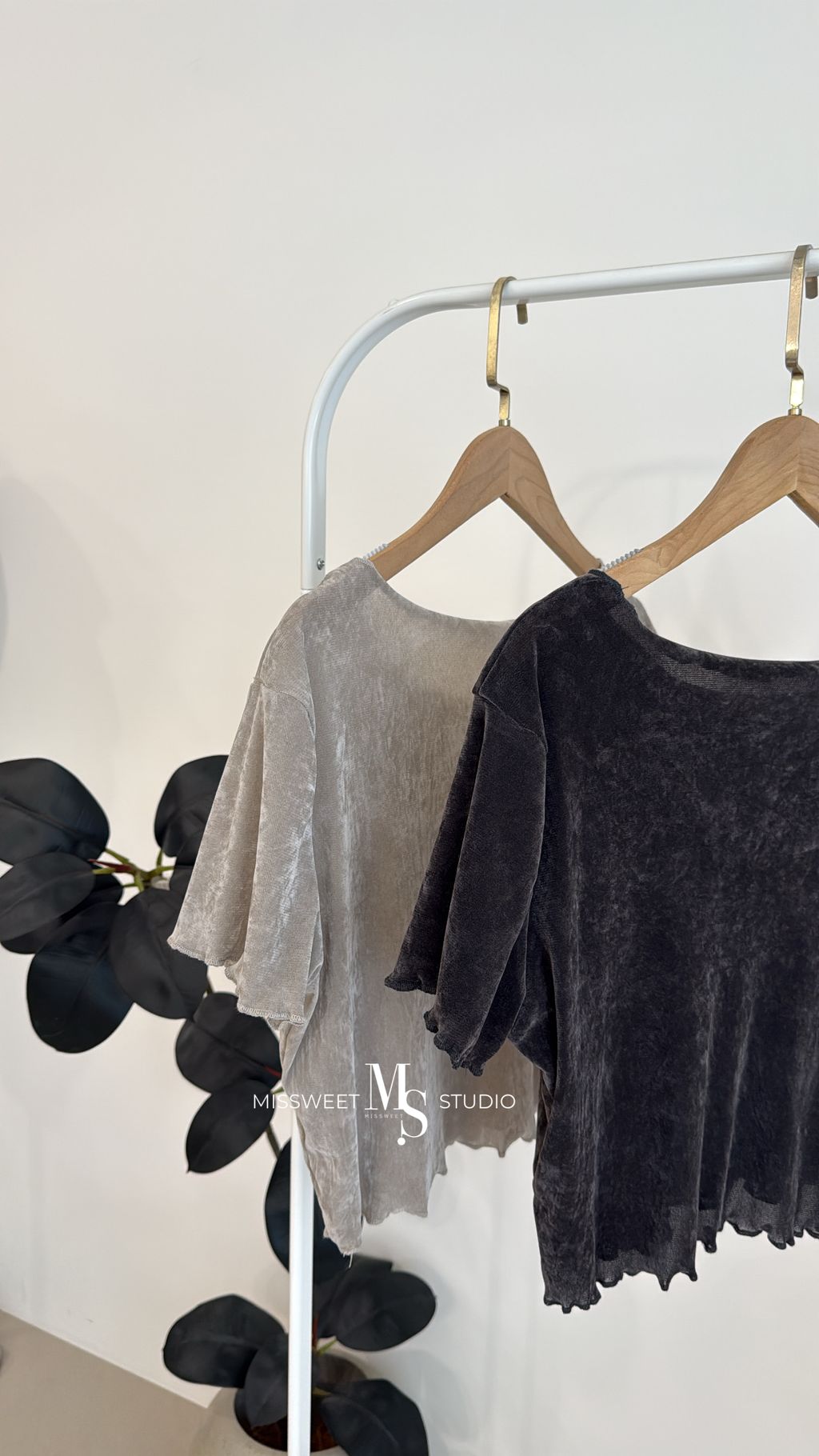 相片 2026-3-23 下午2 36 34