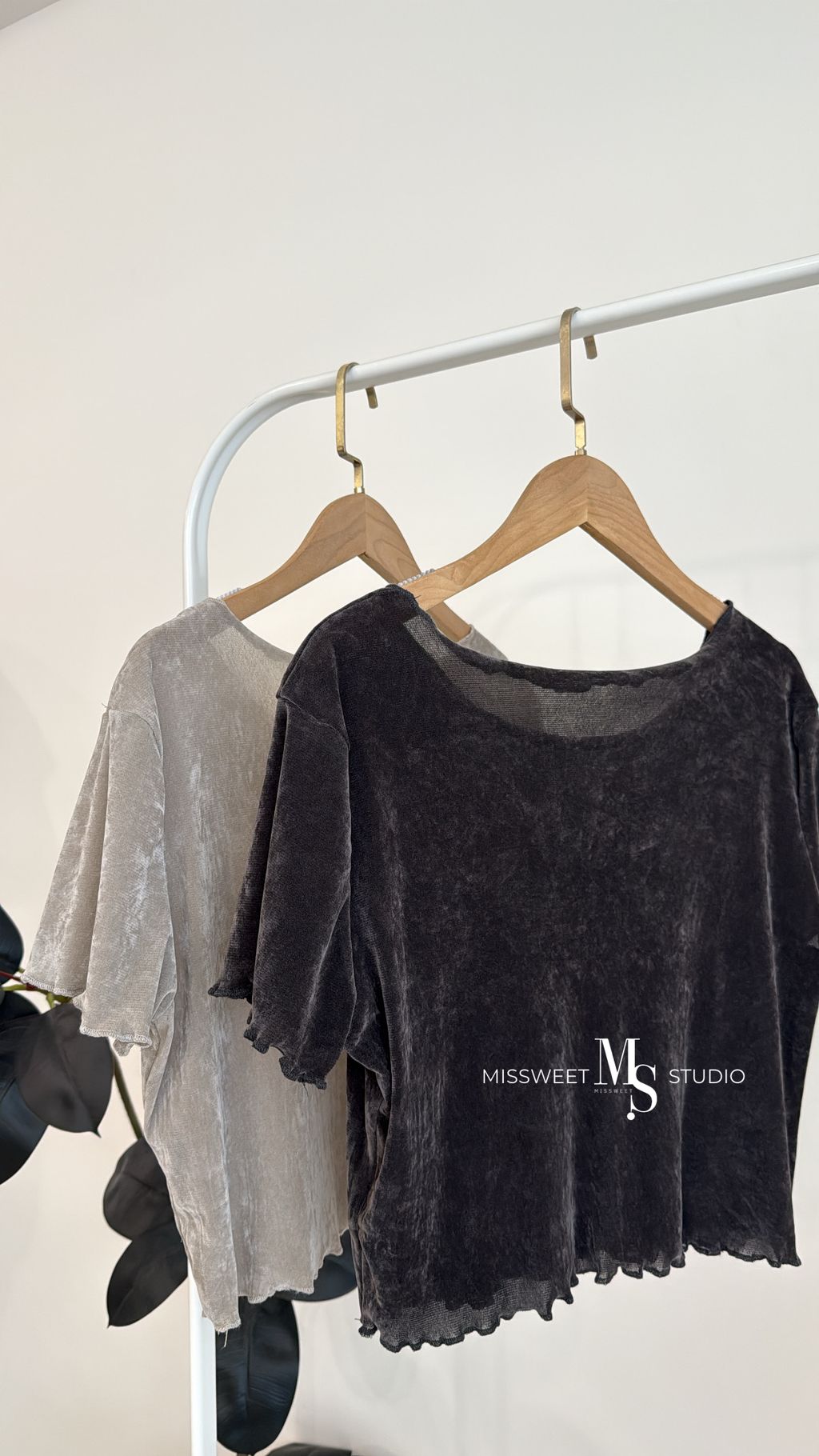 相片 2026-3-23 下午2 36 54