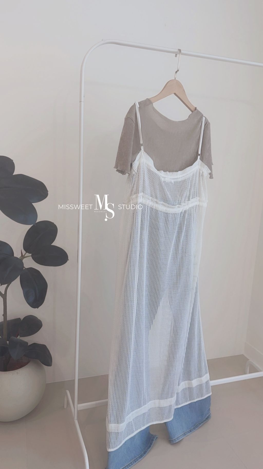 相片 2026-3-23 下午2 31 35