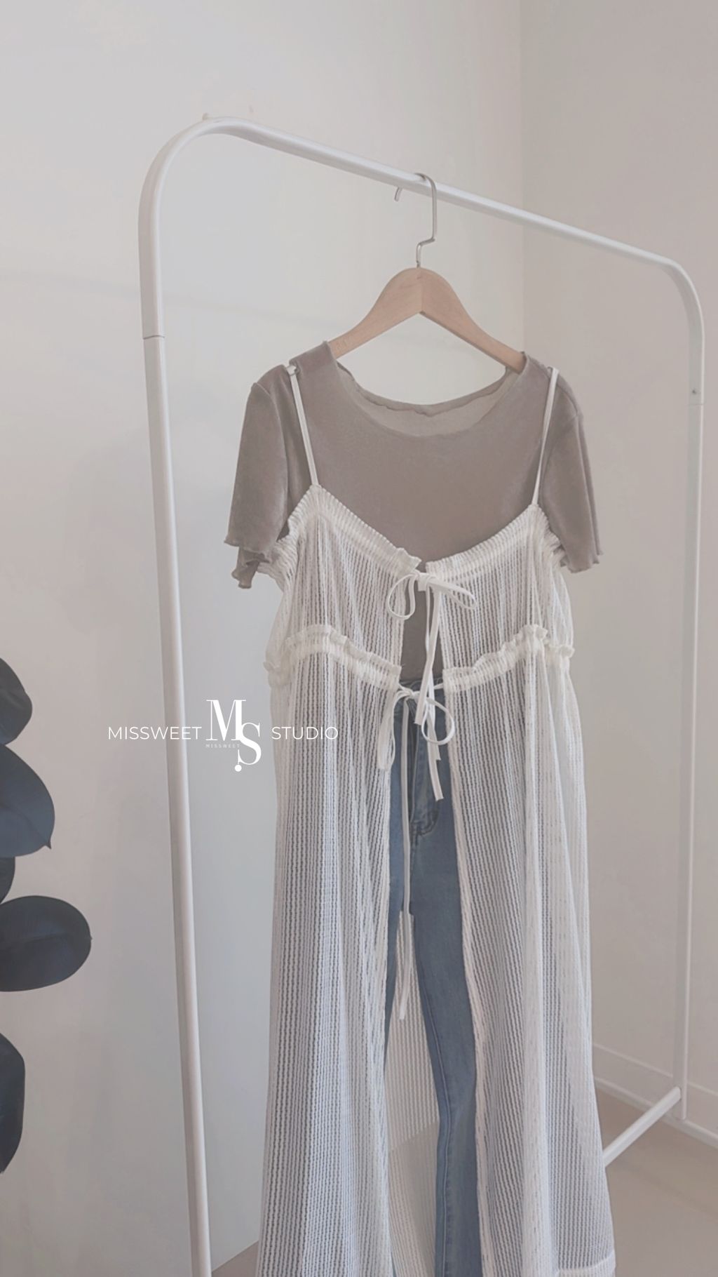 相片 2026-3-23 下午2 29 36