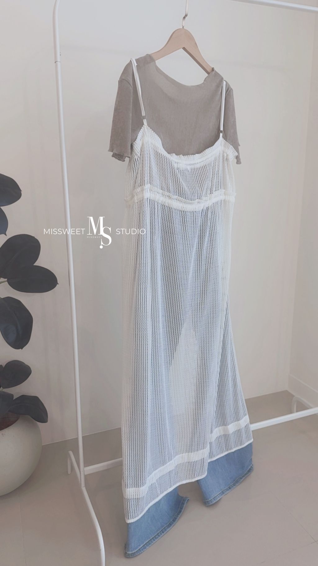 相片 2026-3-23 下午2 31 14