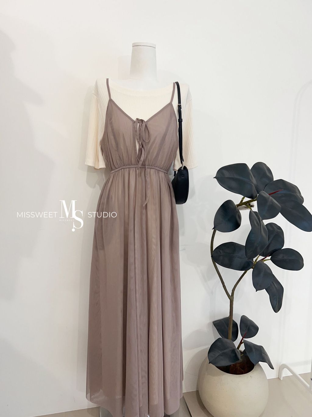 相片 2026-3-20 下午4 27 41