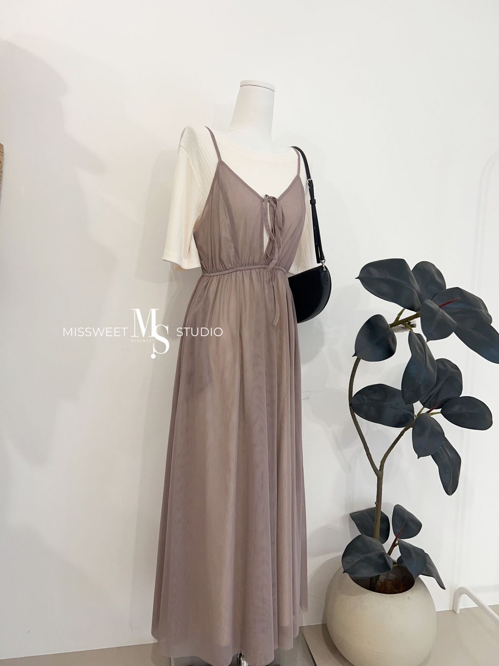 相片 2026-3-20 下午4 28 36