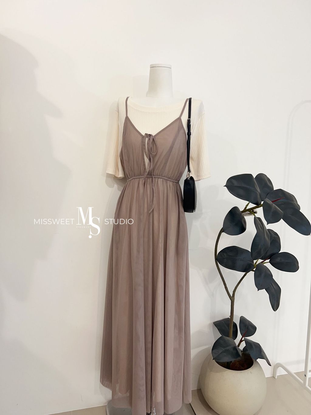 相片 2026-3-20 下午4 28 15