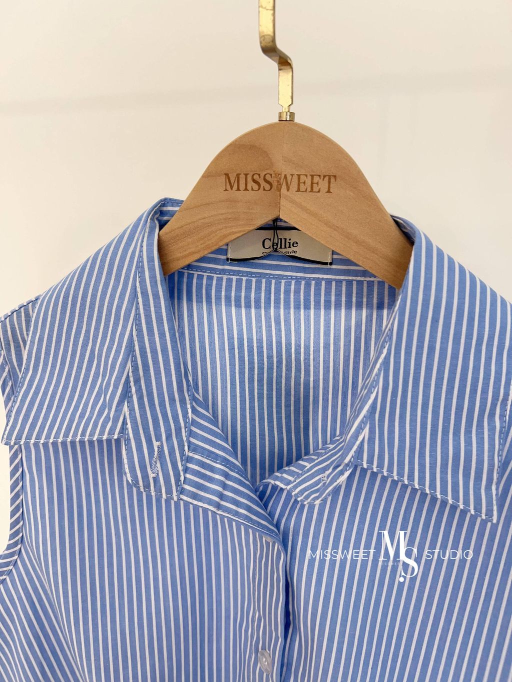 相片 2026-3-24 上午10 36 13