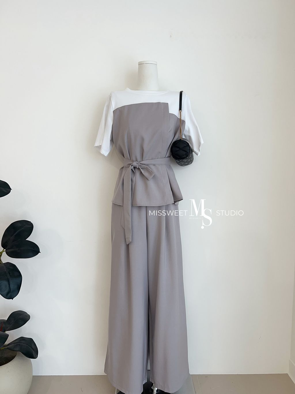 相片 2026-3-27 下午1 31 32