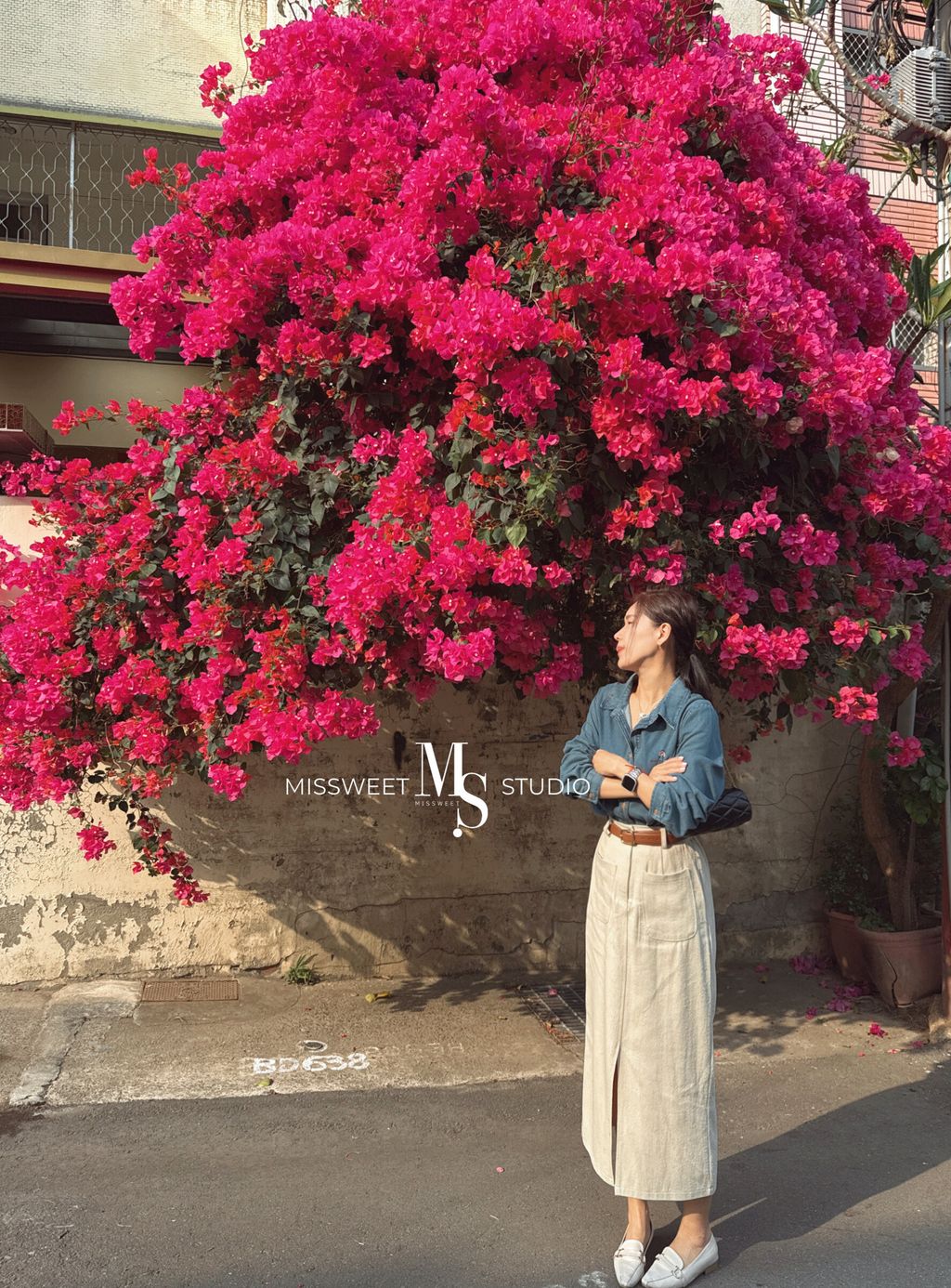 相片 2026-3-30 下午4 29 12