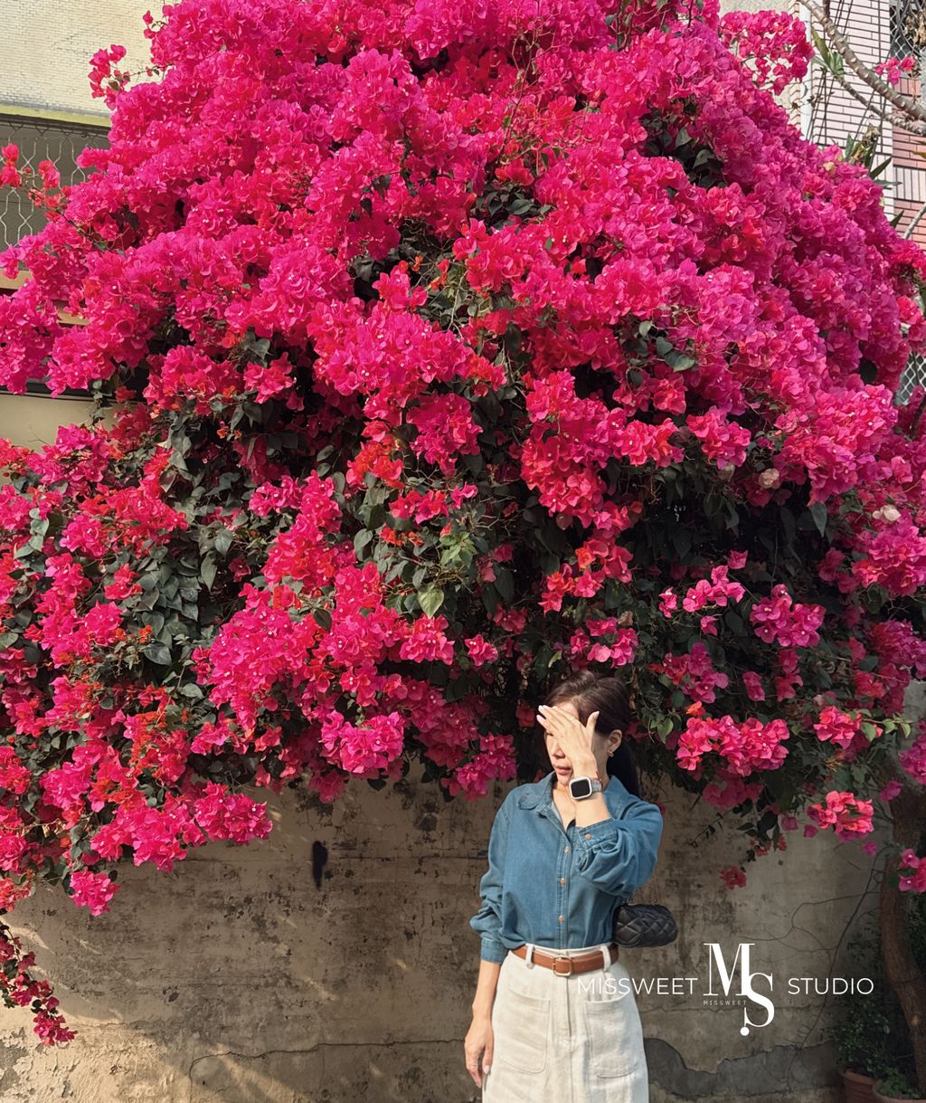 相片 2026-3-30 下午4 29 45