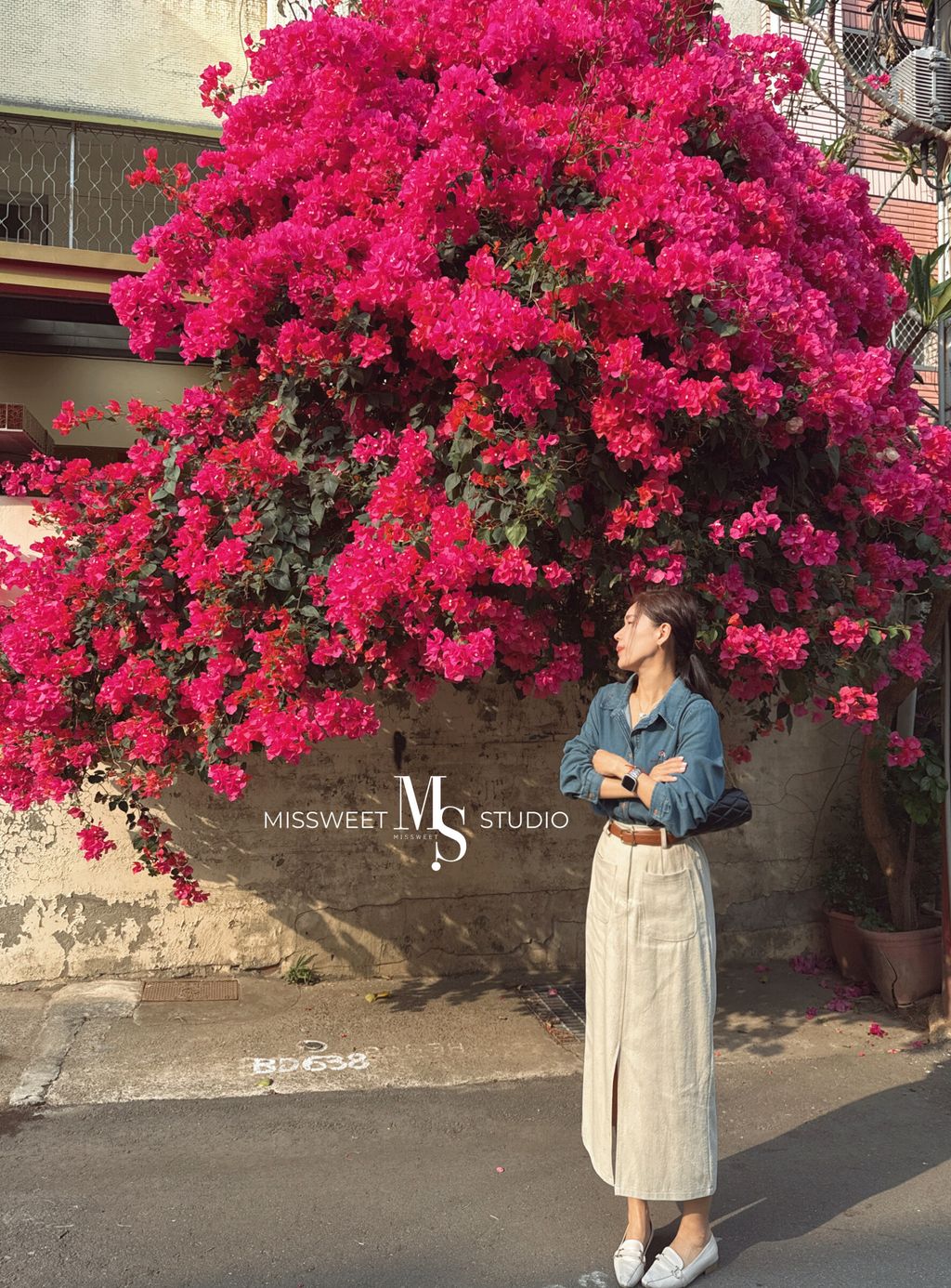 相片 2026-3-30 下午4 29 12