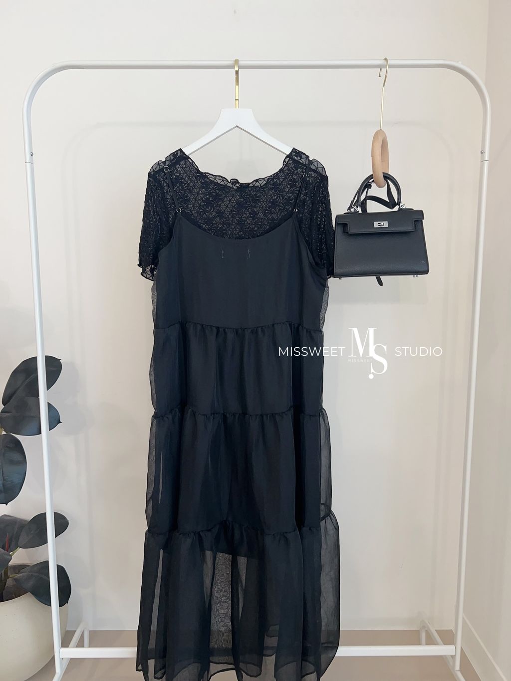 相片 2026-3-24 下午2 55 01