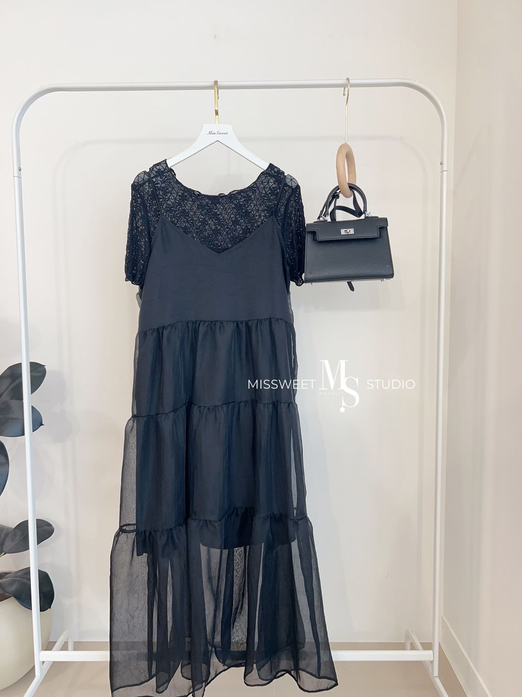 相片 2026-3-24 下午2 53 19