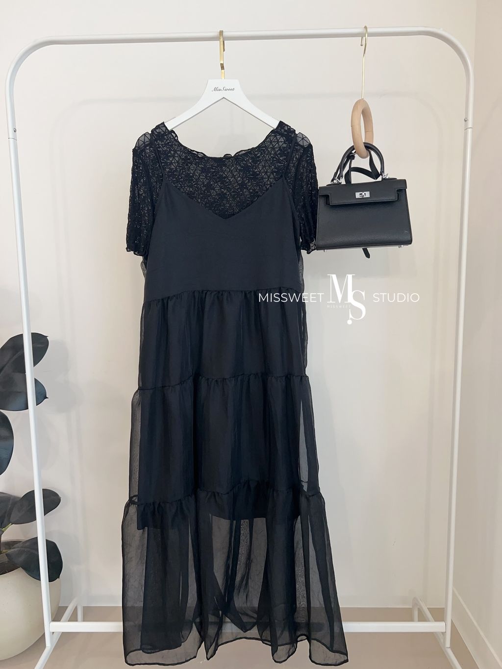 相片 2026-3-24 下午2 55 44