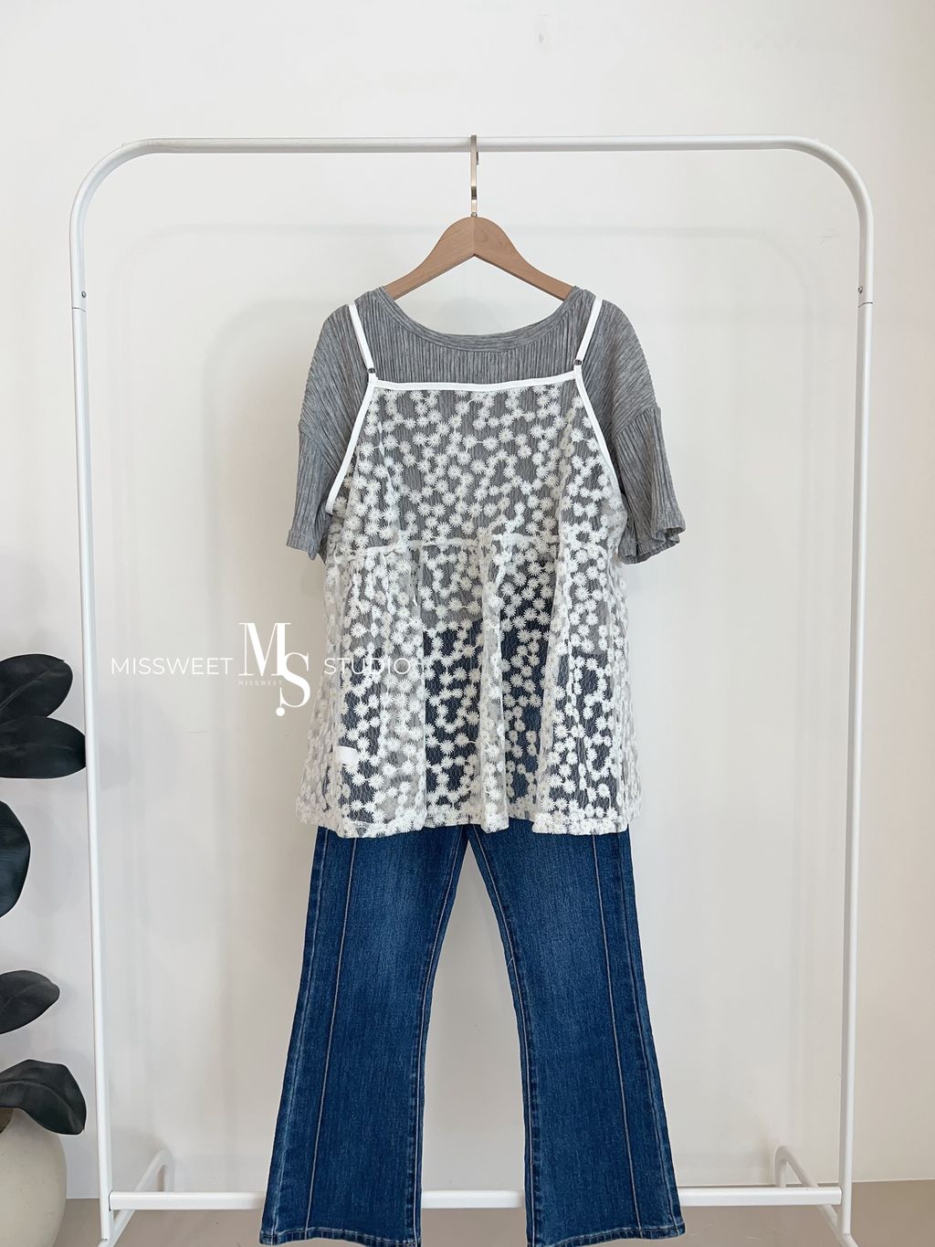 相片 2026-3-27 上午11 53 51