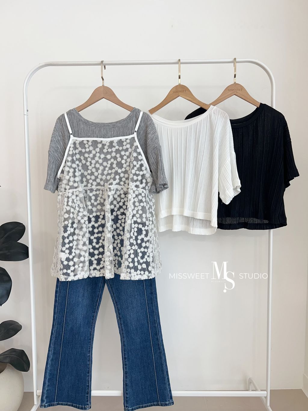 相片 2026-3-27 上午11 53 10