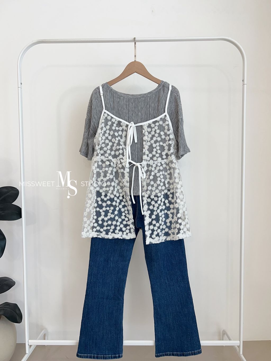 相片 2026-3-27 上午11 54 19