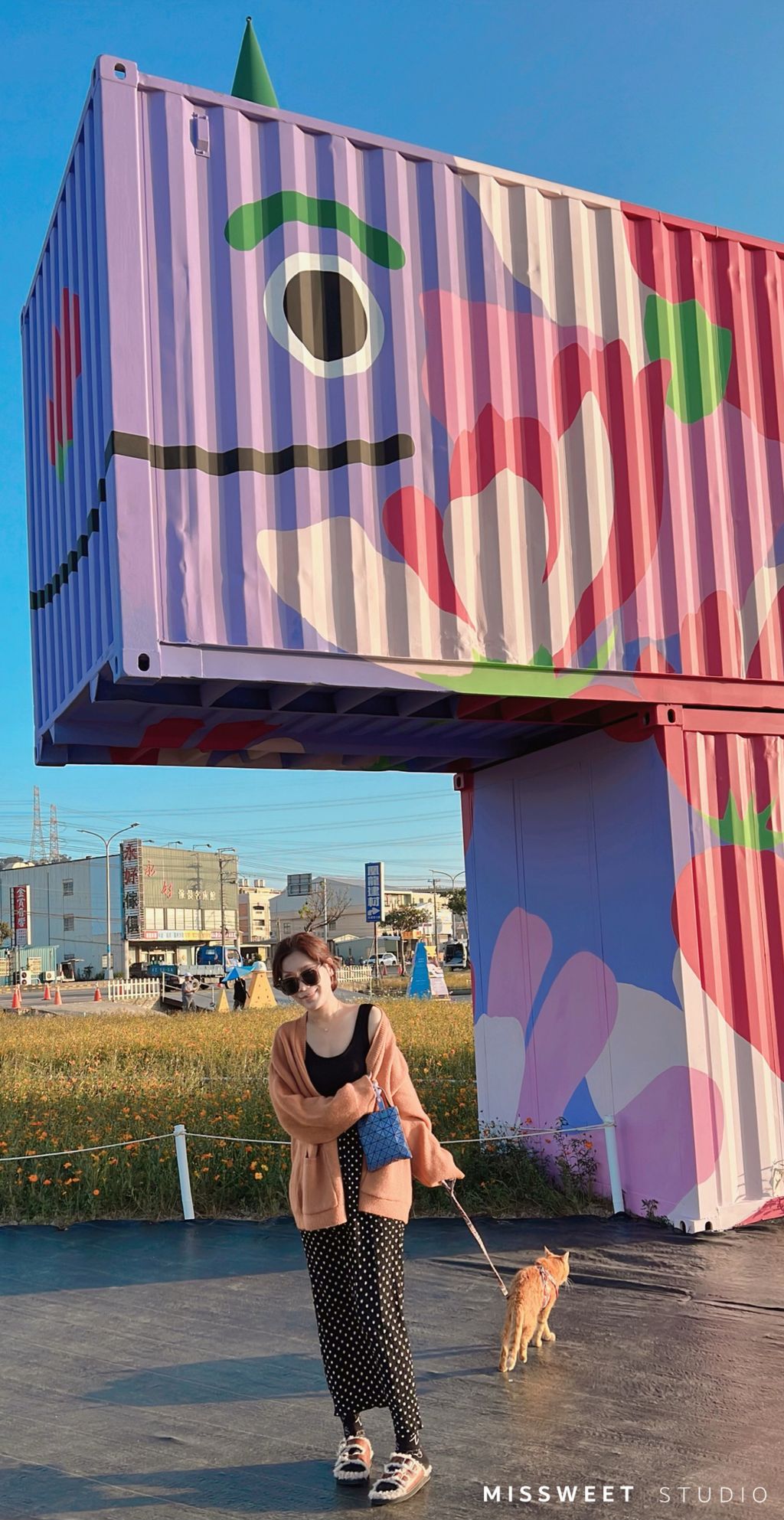 相片 2022-11-18 下午7 10 17