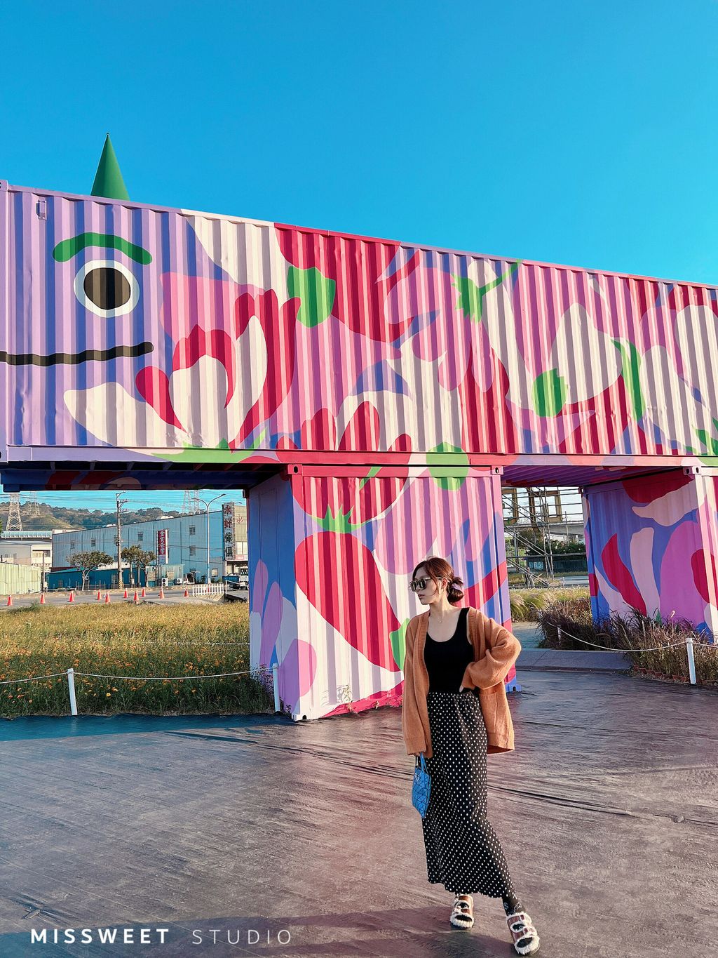 相片 2022-11-18 下午7 13 00