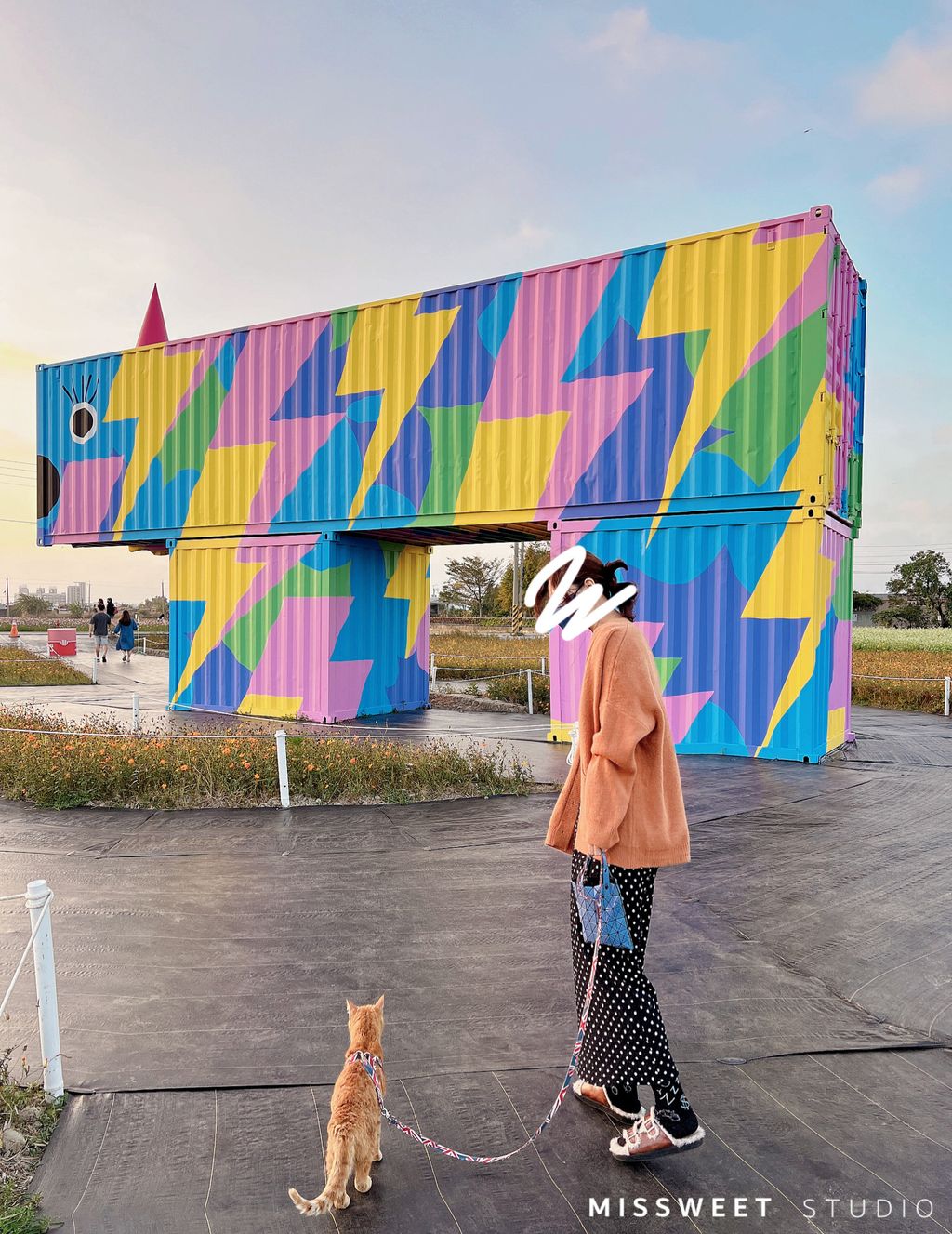 相片 2022-11-18 下午8 18 16