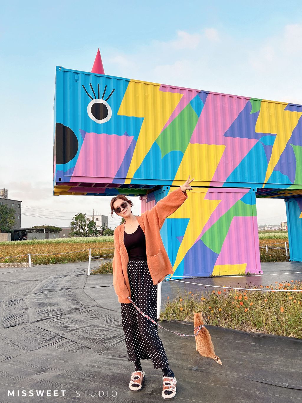 相片 2022-11-18 下午8 23 06