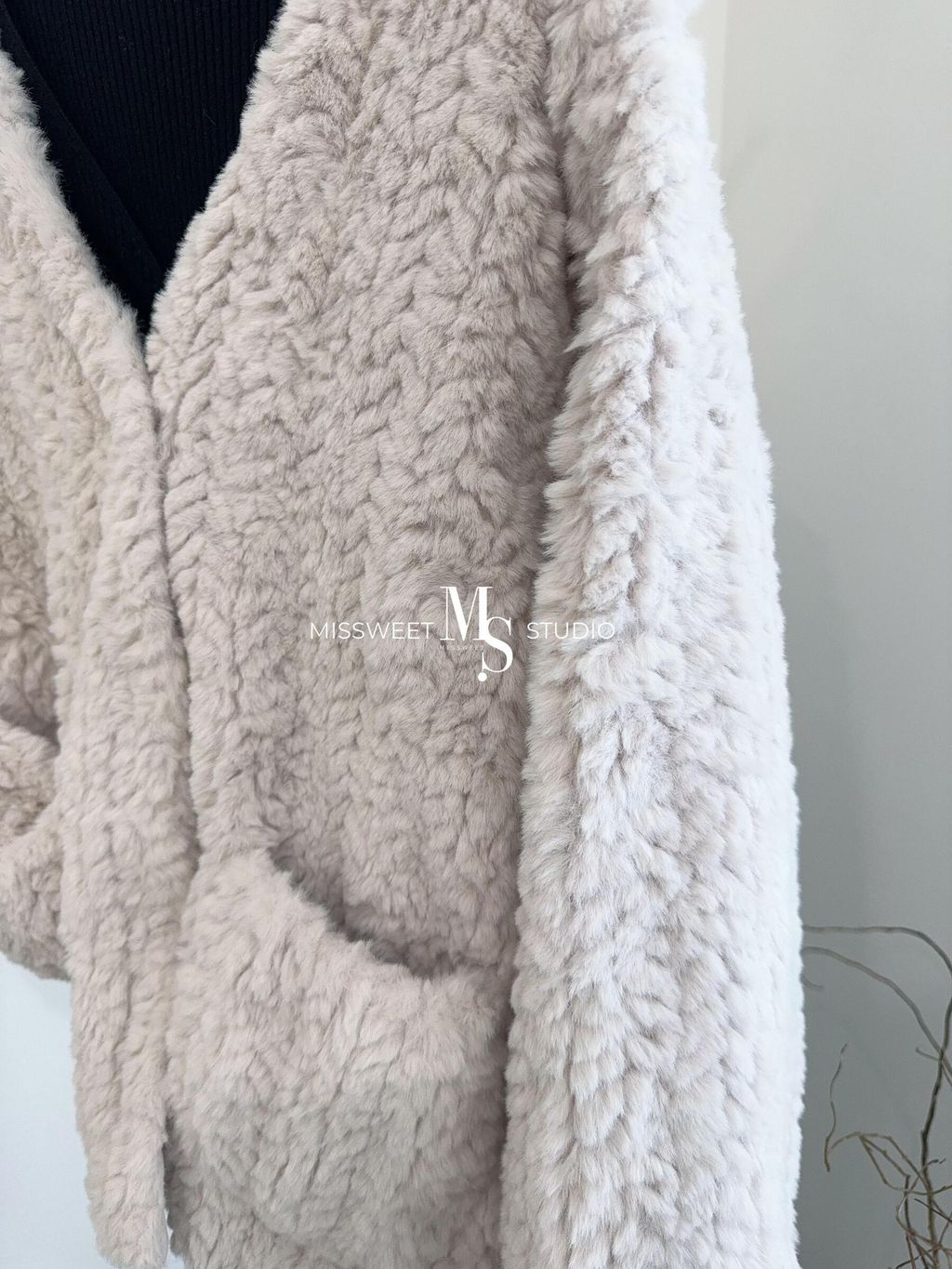 相片 2023-12-28 上午9 53 58