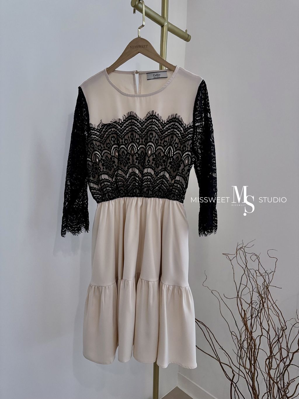 相片 2024-3-8 中午12 24 43 (13)