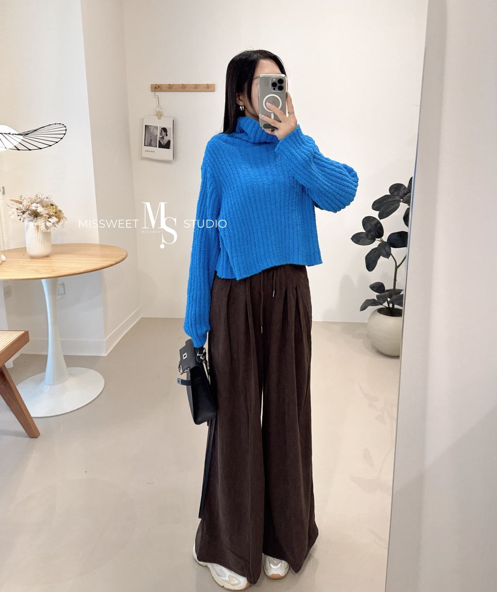 相片 2024-12-6 晚上11 20 45 (2)