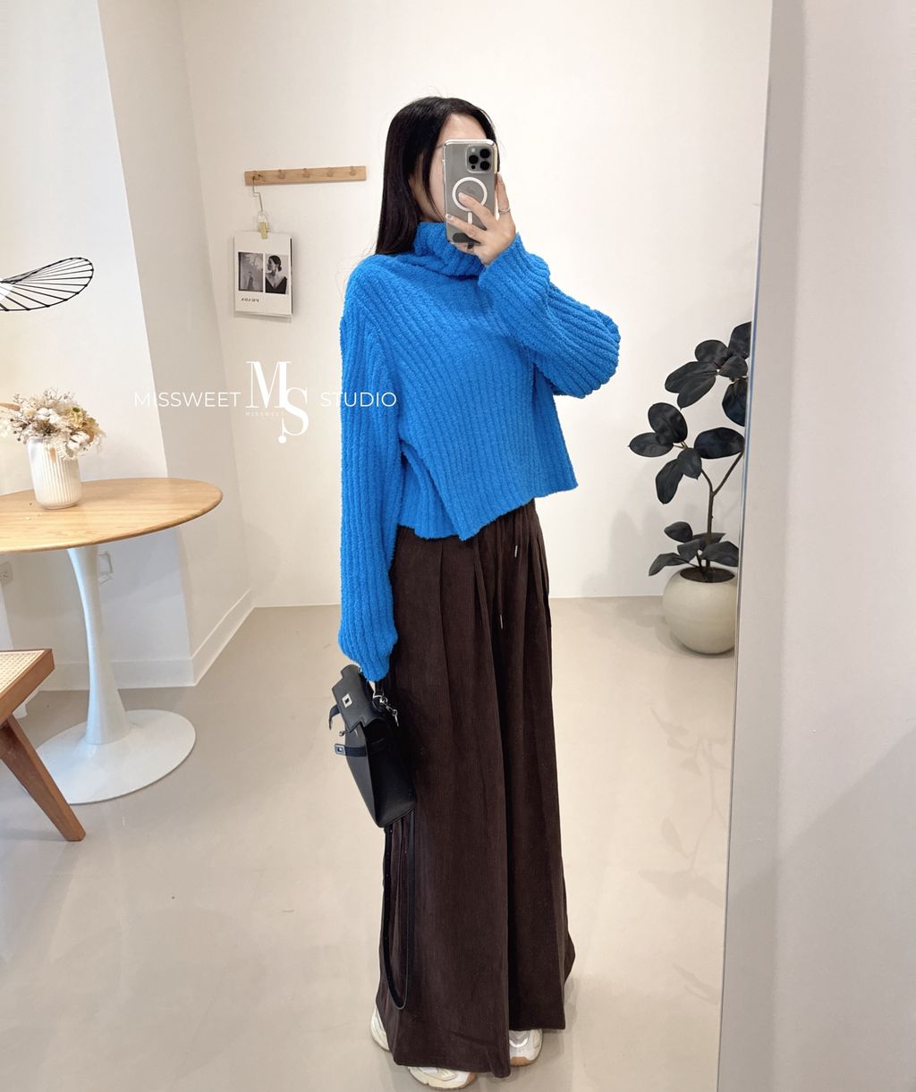 相片 2024-12-6 晚上11 20 45 (3) (1)