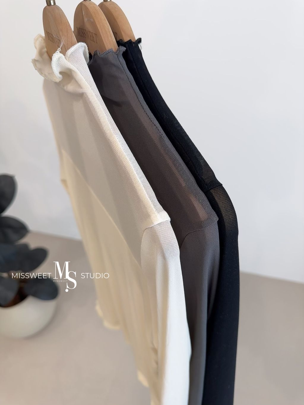 相片 2024-12-17 下午2 23 55