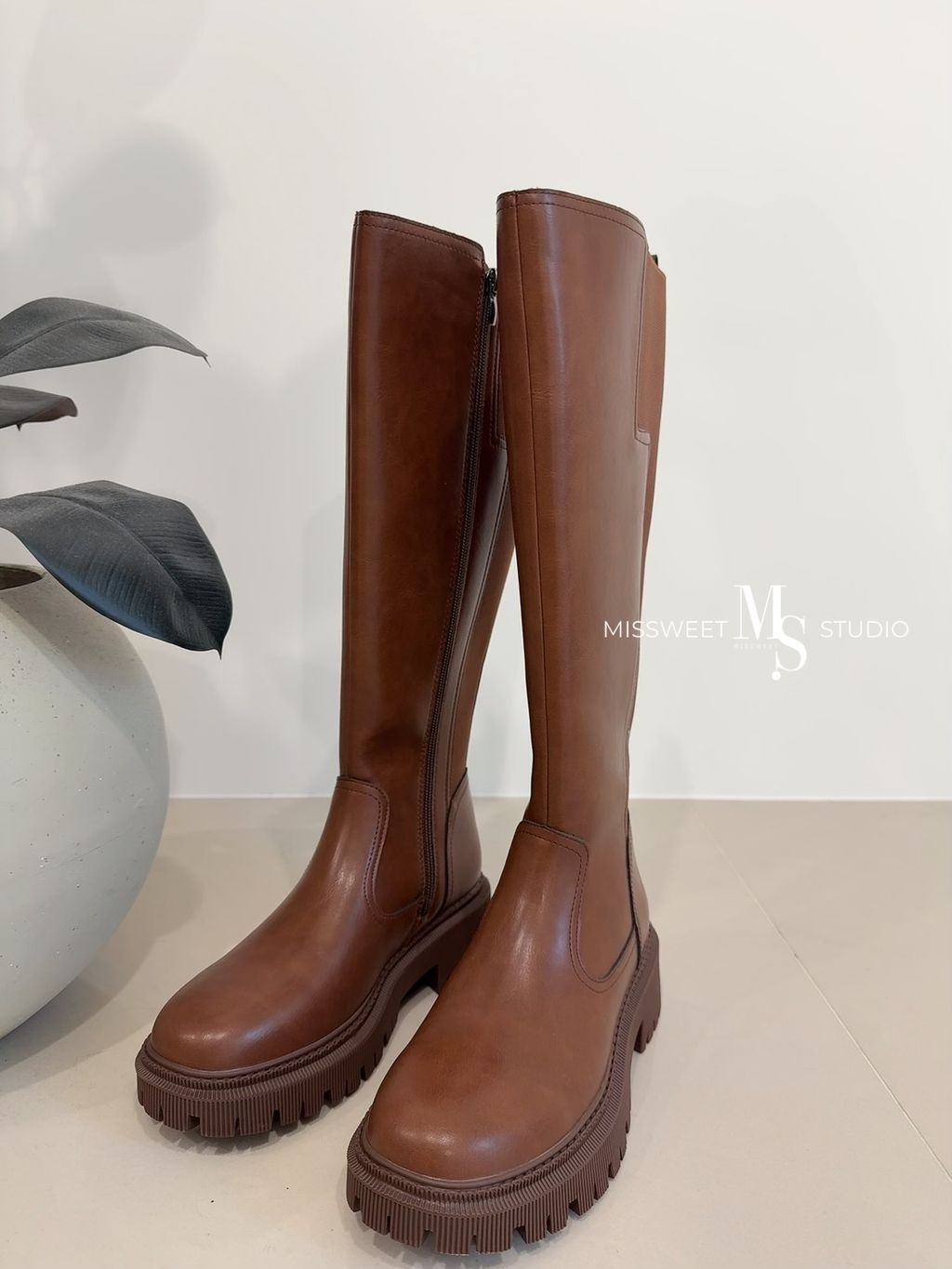 相片 2024-12-26 下午4 54 17