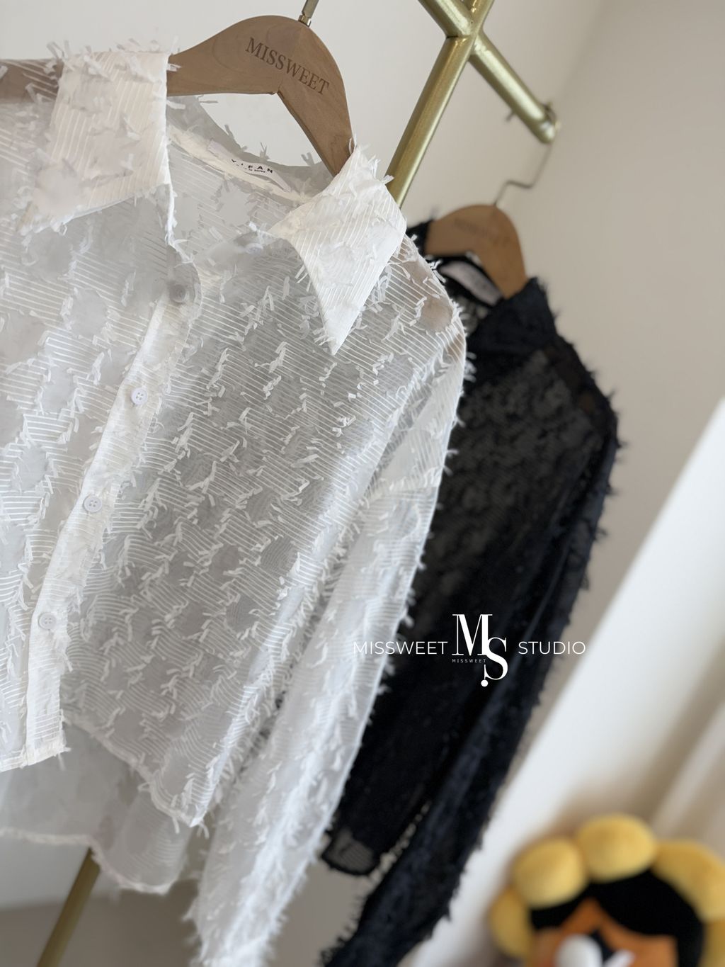 相片 2025-3-8 下午1 43 34