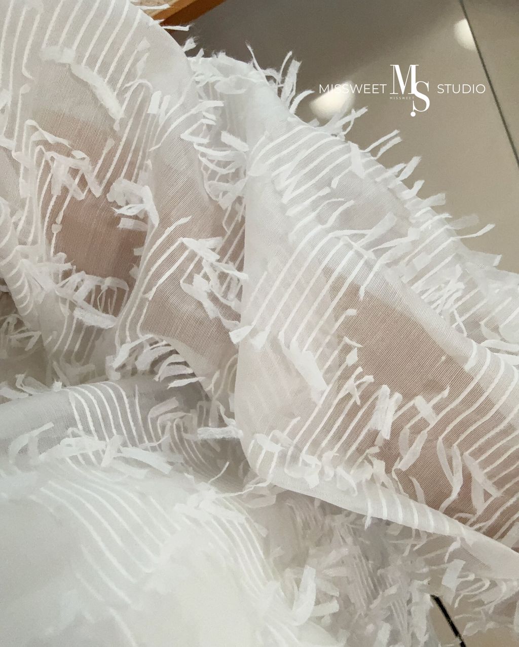 相片 2025-3-8 上午9 03 47