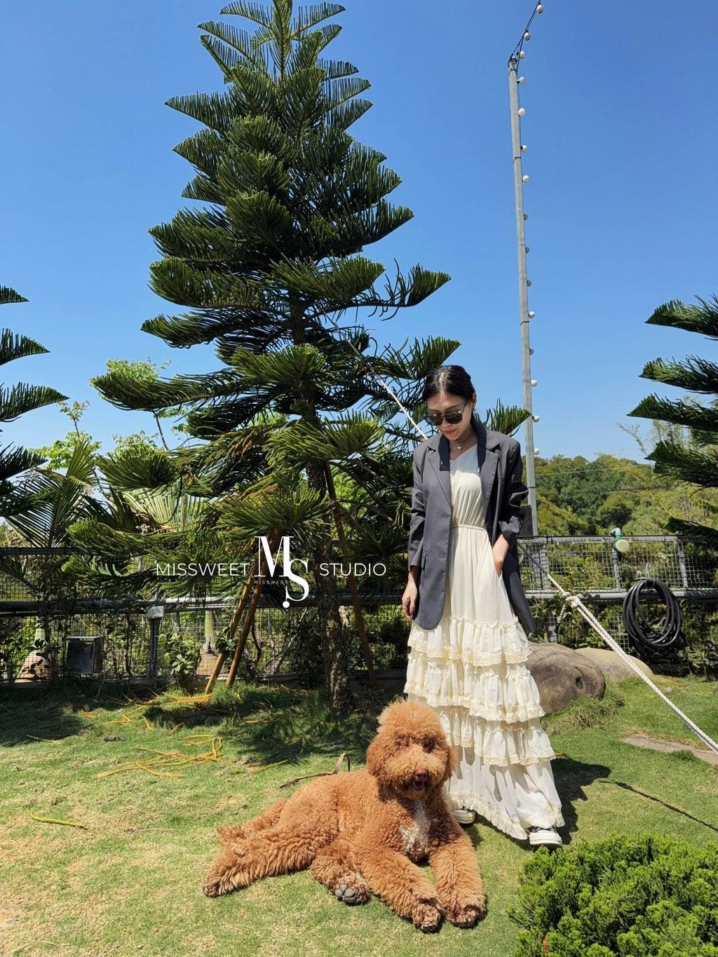 相片 2025-3-21 下午5 04 23 (15)