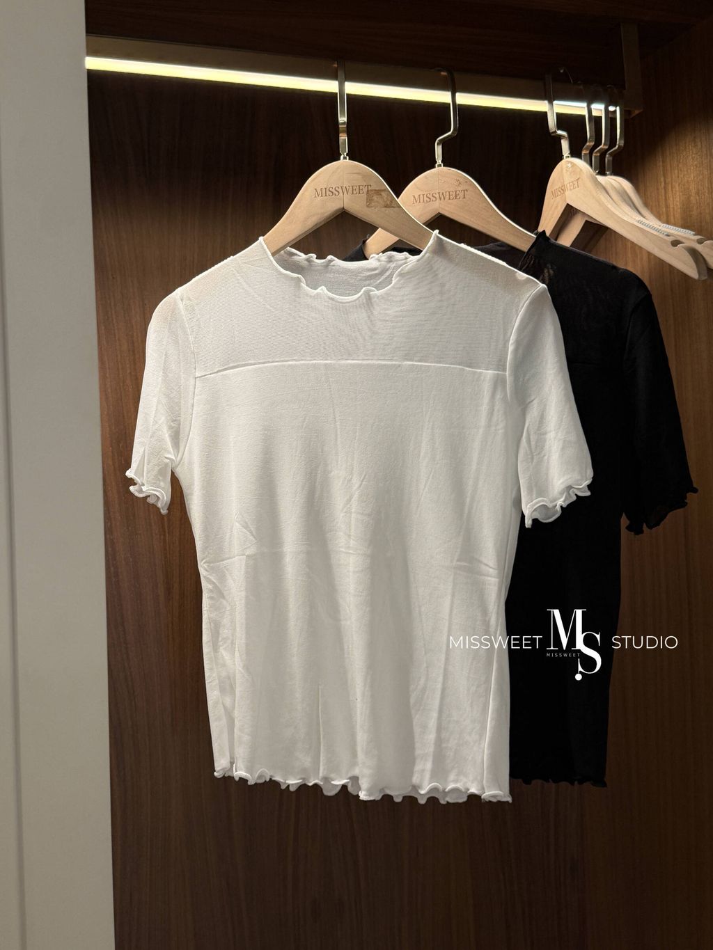 相片 2025-7-19 上午8 59 45