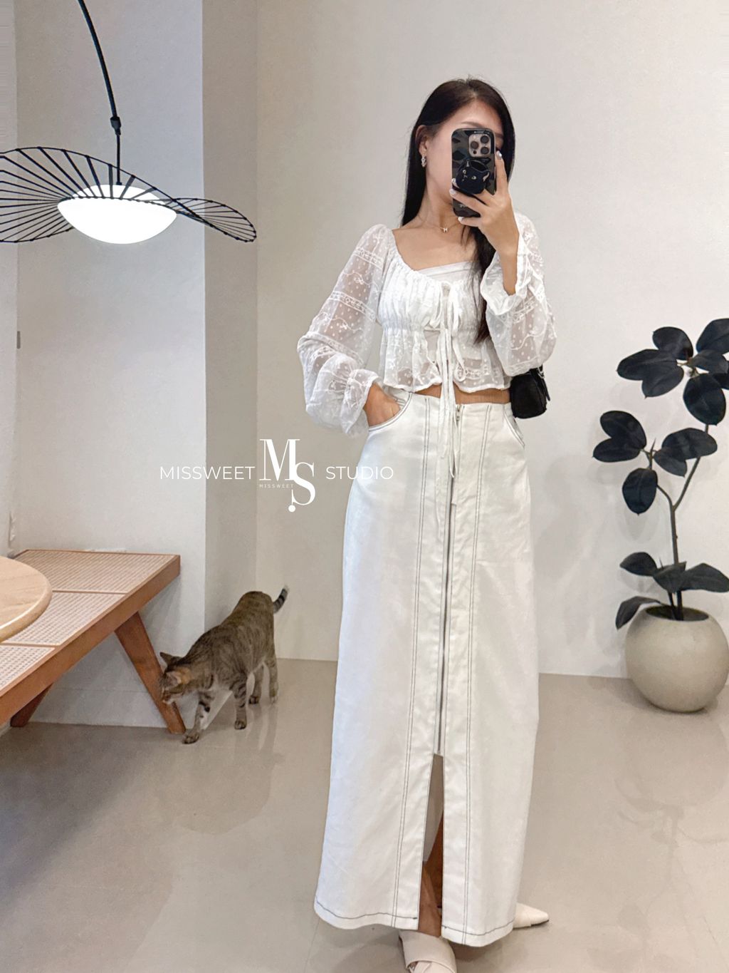 相片 2025-9-27 晚上11 55 30 (6)