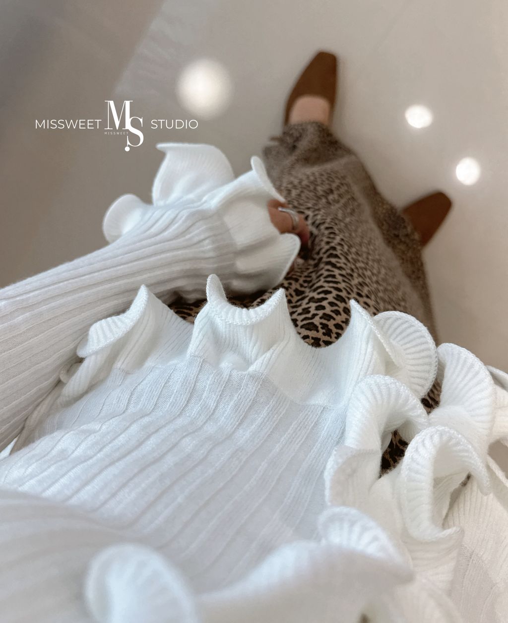 相片 2025-10-29 下午2 24 29 (14)