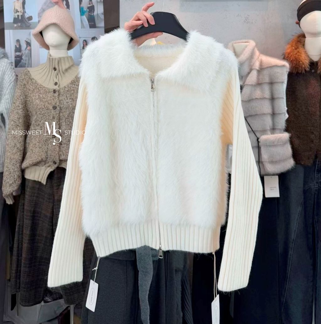 相片 2025-11-12 下午1 49 13