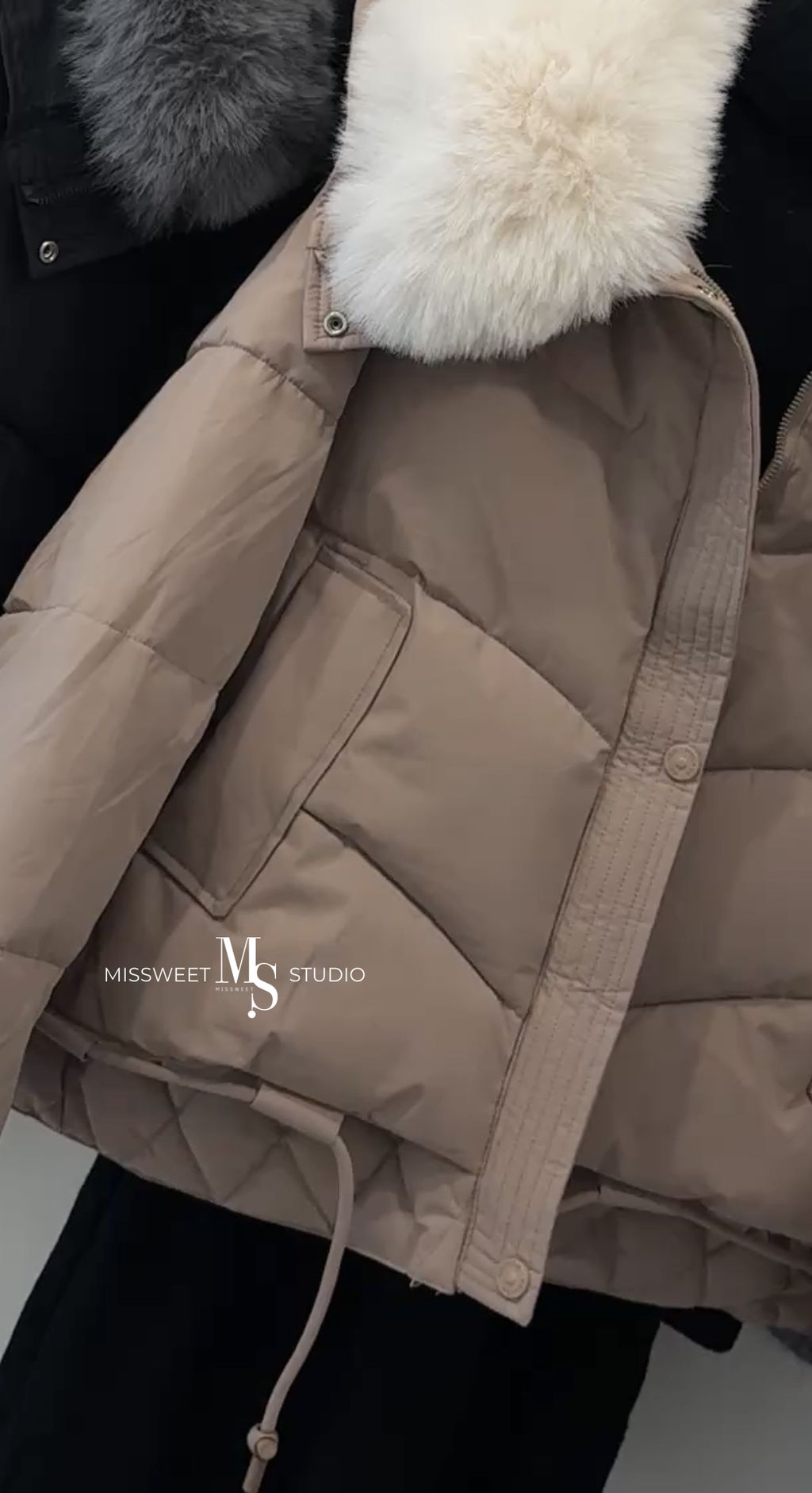 相片 2025-11-24 晚上11 55 05