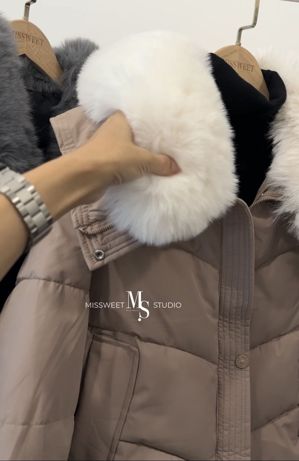 相片 2025-11-24 晚上11 54 24