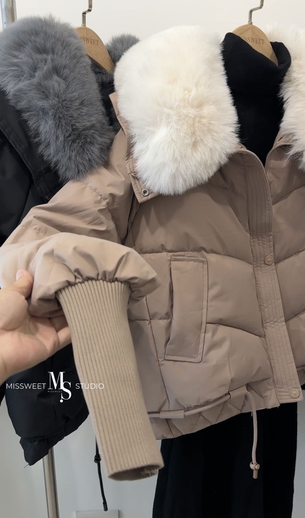 相片 2025-11-24 晚上11 54 36